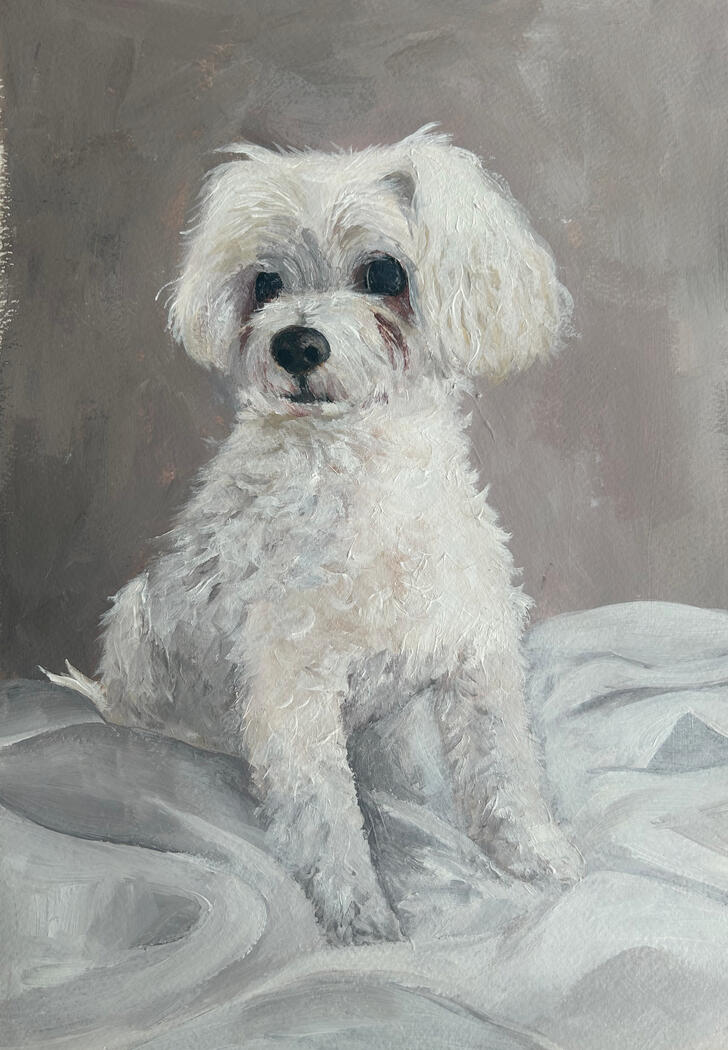 Snowball